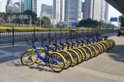 【8分钟科普下】辽阳市工厂招工信息_哔哩哔哩